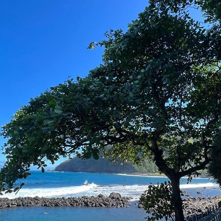 Le Liseron Creole - Entre Terre, Mer Et Riviere - Proche Toutes Commodites Saint-Joseph Exteriör bild