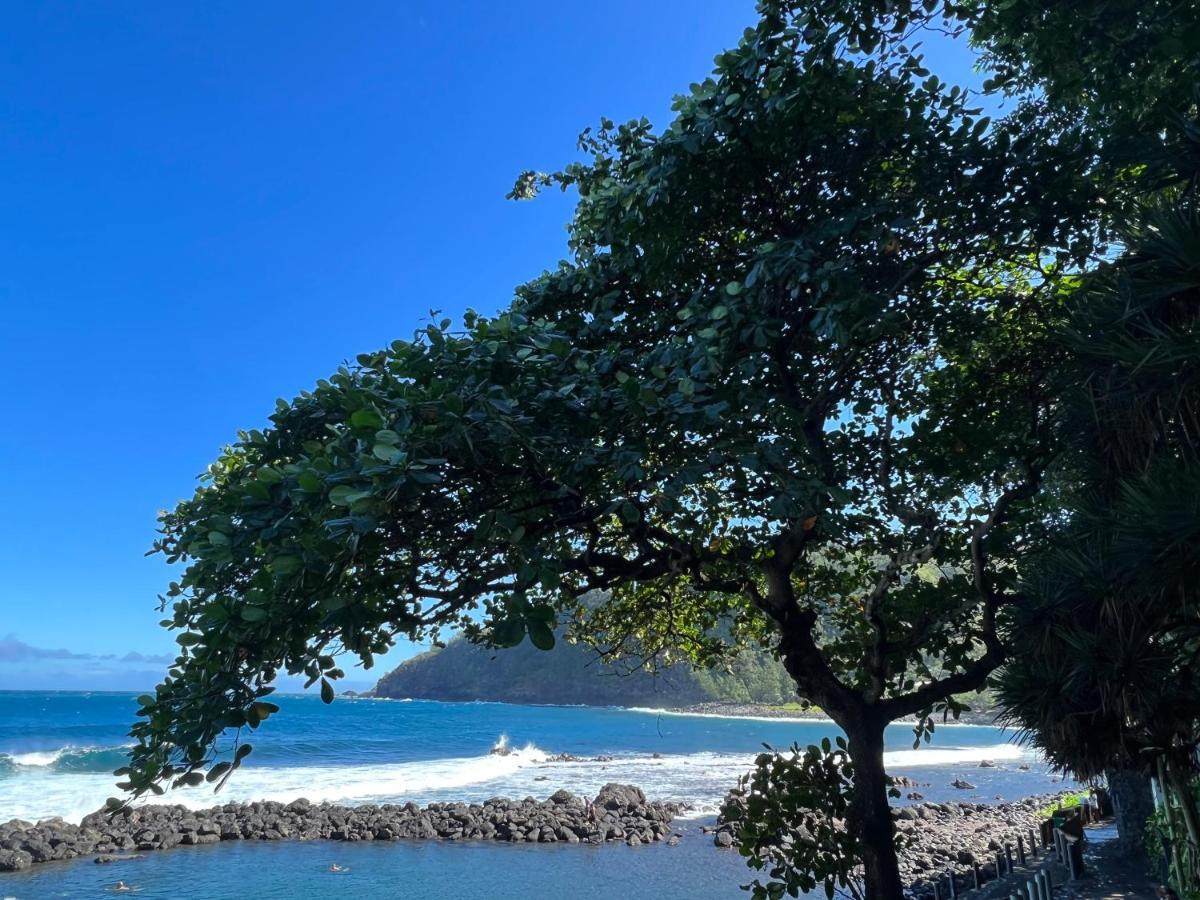 Le Liseron Creole - Entre Terre, Mer Et Riviere - Proche Toutes Commodites Saint-Joseph Exteriör bild